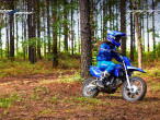 2023 Yamaha TTR 110