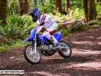 2023 Yamaha TTR 110