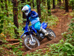 2023 Yamaha TTR 125 LW