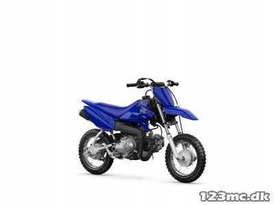 Yamaha TTR 50