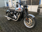 2024 BSA Goldstar