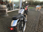 2024 BSA Goldstar