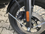 2024 BSA Goldstar