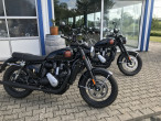 2024 BSA Goldstar