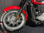 2024 BSA Goldstar