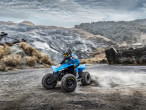 2024 CFMOTO C-FORCE 110