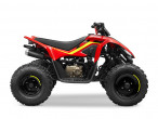 2024 CFMOTO C-FORCE 110