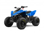 2024 CFMOTO C-FORCE 110