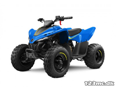CFMOTO C-FORCE 110