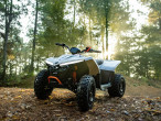 2024 CFMOTO C-FORCE EV110