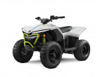 2024 CFMOTO C-FORCE EV110