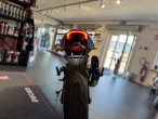 2024 Ducati Monster