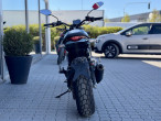 2024 Ducati Scrambler Icon