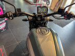 2024 Ducati Scrambler Icon