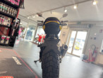 2024 Ducati Scrambler Icon