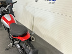 2024 Ducati Scrambler Icon