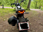 2024 Ducati Scrambler Icon