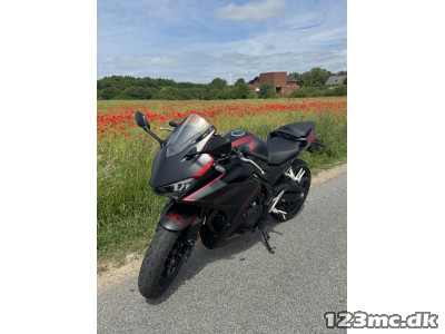 Honda CBR 500 RA