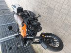 2024 Honda CL 500 A