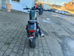 2024 Honda CMX 500 Rebel