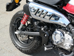 2024 Honda Monkey 125
