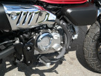 2024 Honda Monkey 125