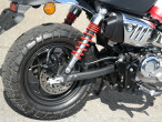 2024 Honda Monkey 125