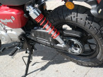 2024 Honda Monkey 125