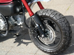 2024 Honda Monkey 125