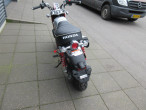 2024 Honda Monkey 125