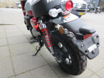 2024 Honda Monkey 125