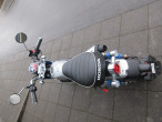 2024 Honda Monkey 125