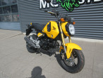 2024 Honda MSX 125