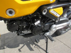 2024 Honda MSX 125