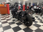 2024 Indian Scout Bobber