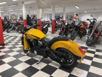 2024 Indian Scout