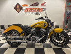 2024 Indian Scout