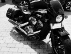 2024 Indian Scout 2024 Indian Scout