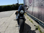 2024 Indian Scout