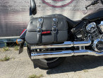 2024 Indian Scout
