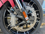 2024 Indian Sport Chief