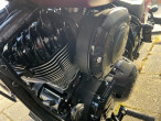 2024 Indian Sport Chief