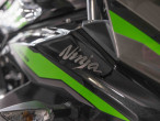 2024 Kawasaki Ninja 125