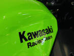 2024 Kawasaki Ninja 500 SE