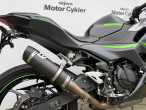 2024 Kawasaki Ninja 500 SE