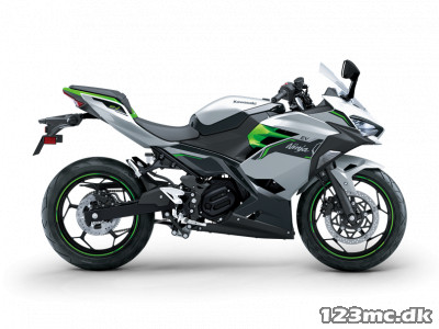 Kawasaki Ninja e-1