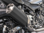 2024 Kawasaki Z 500