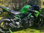 2024 Kawasaki Z 900