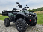 2024 TGB Blade 600 AR