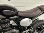 2024 Triumph Scrambler 400 X